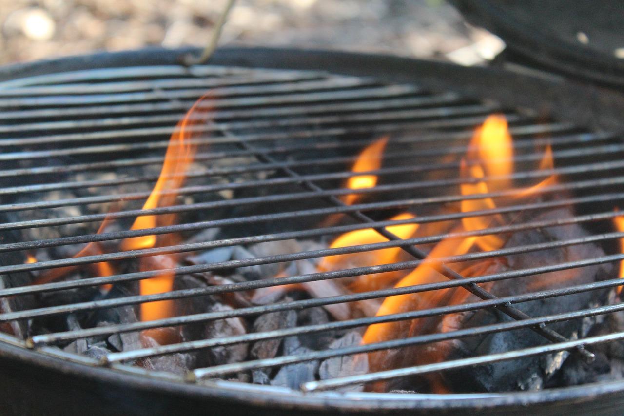 What are Two Disadvantages of Charcoal?