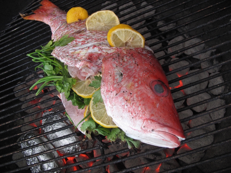 What is the Best Fish for Grilling? A Guide to Choosing the Perfect Fish for Your BBQ