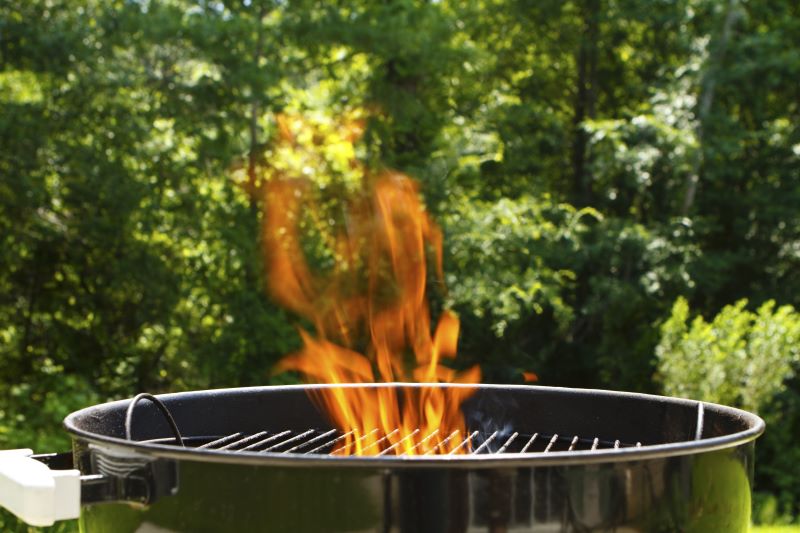 Does Charcoal Burn Hotter Than Propane? The Truth About These Two Fuel Sources