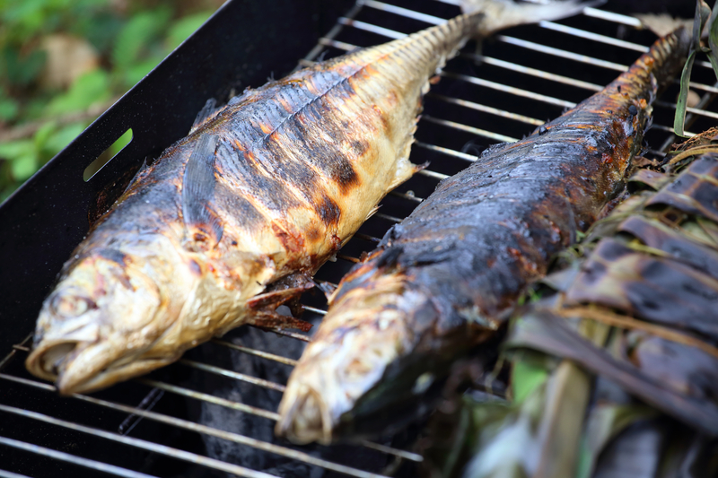 How Do You Keep Fish Moist on the Grill? Essential Techniques for Perfectly Grilled Fish